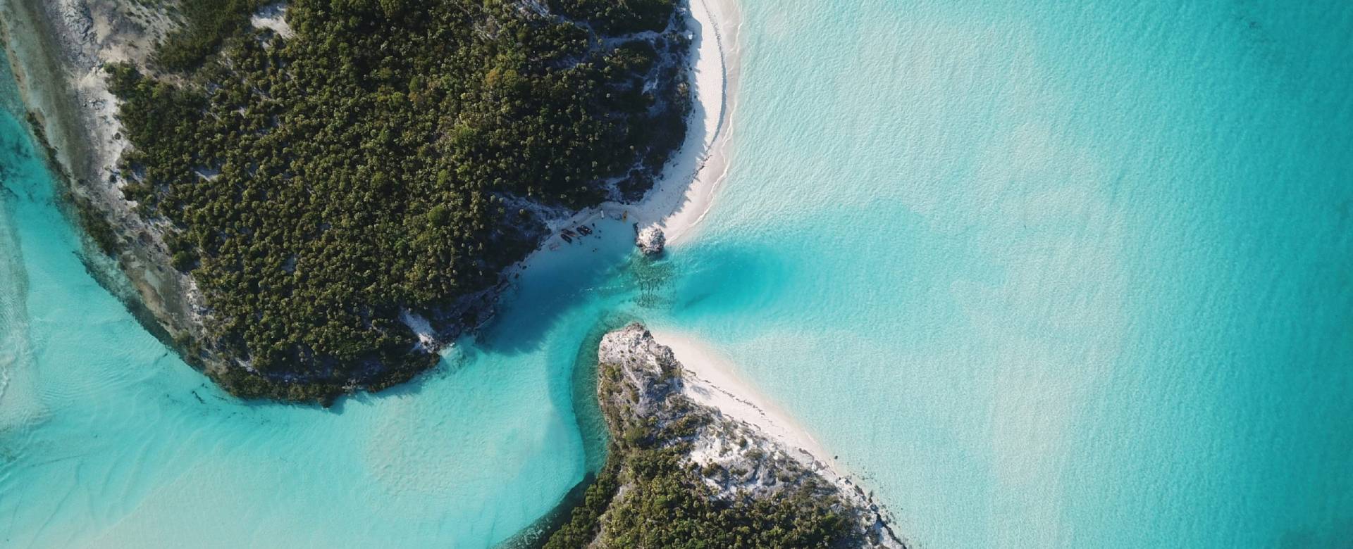 Aerial view of turquoise Bahamian waters meeting a sandy shoreline and lush island vegetation.