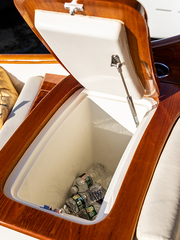 Picnic Boat 37