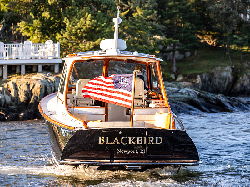Picnic Boat 37