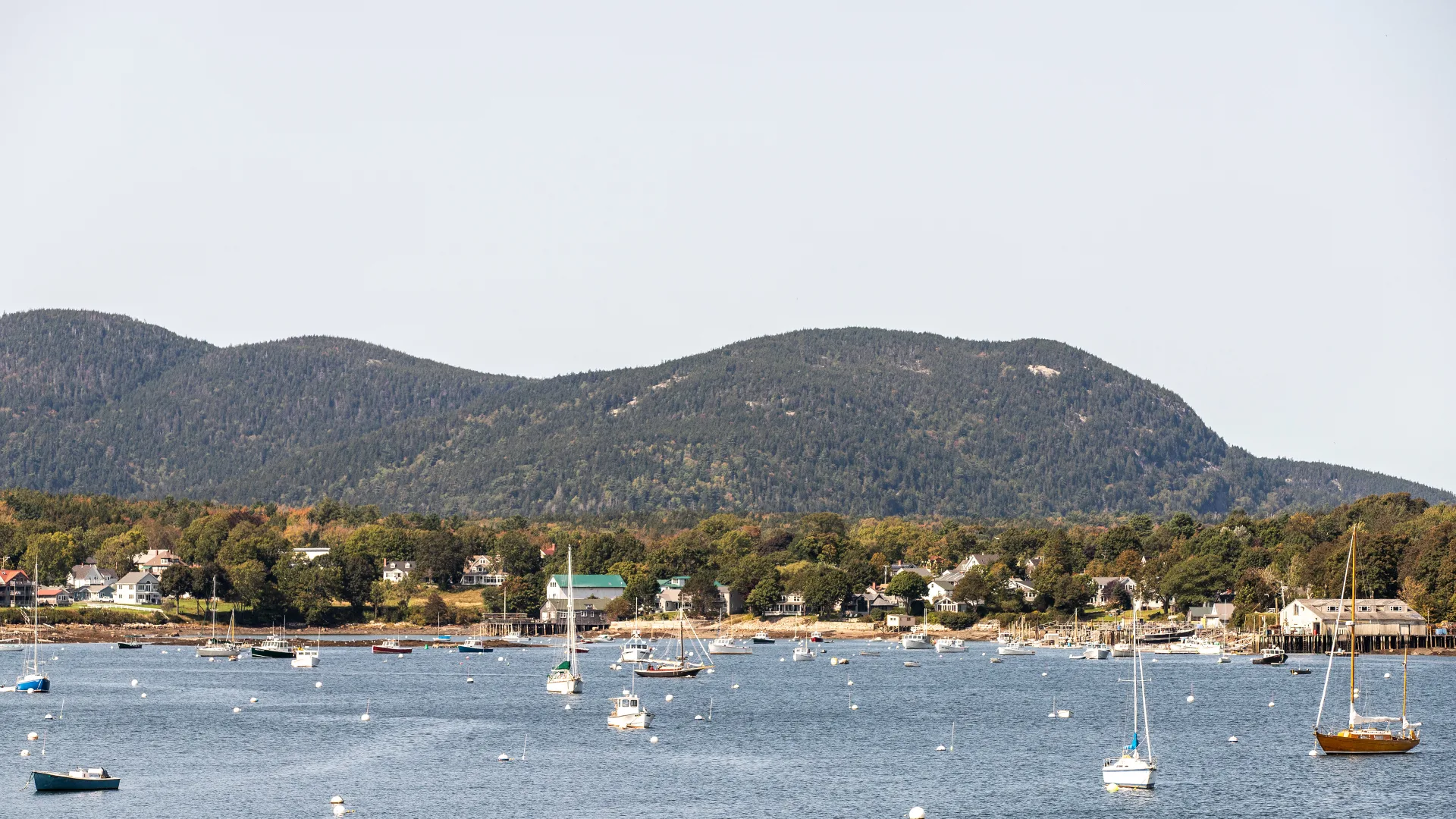 Boats on moorings in Southwest Harbor with mountains beyond