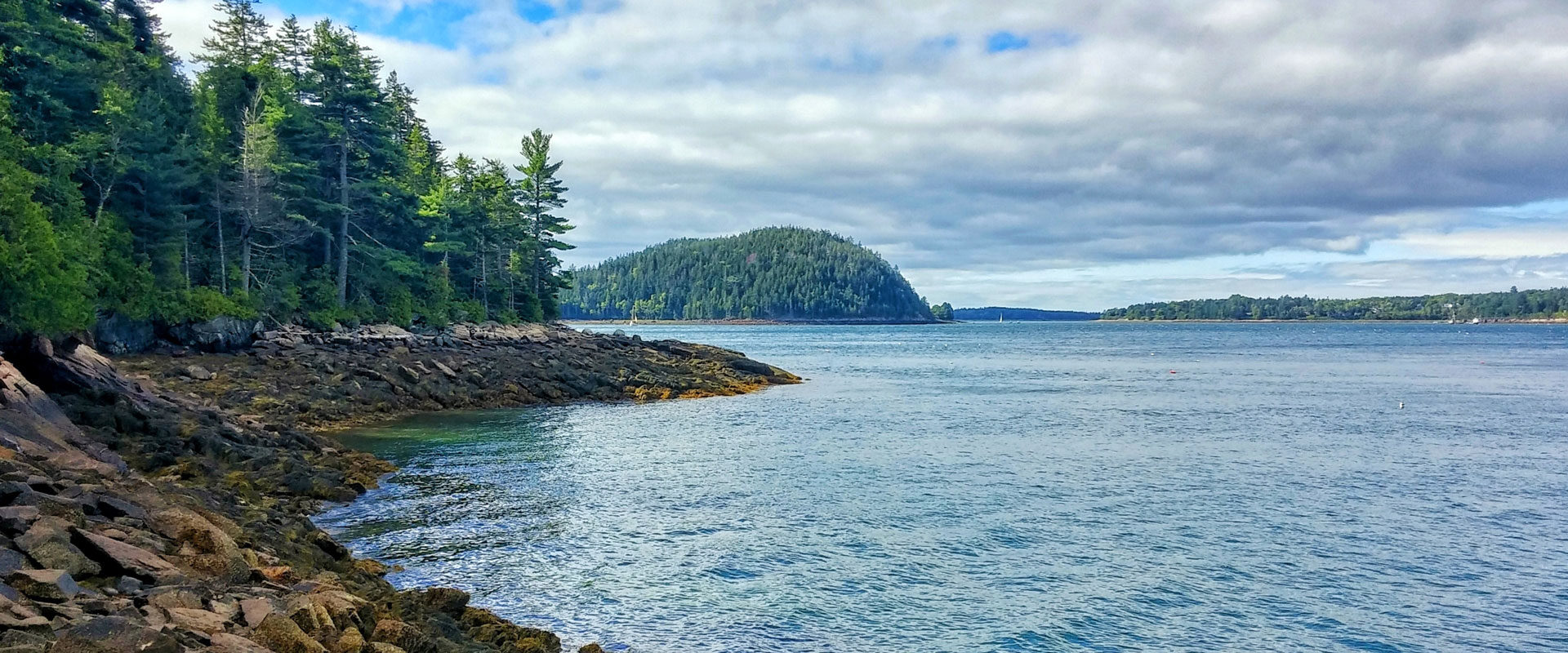 Rocky Maine coastline with evergreen trees overlooking calm coastal waters under a cloudy sky in Northeast Harbor.