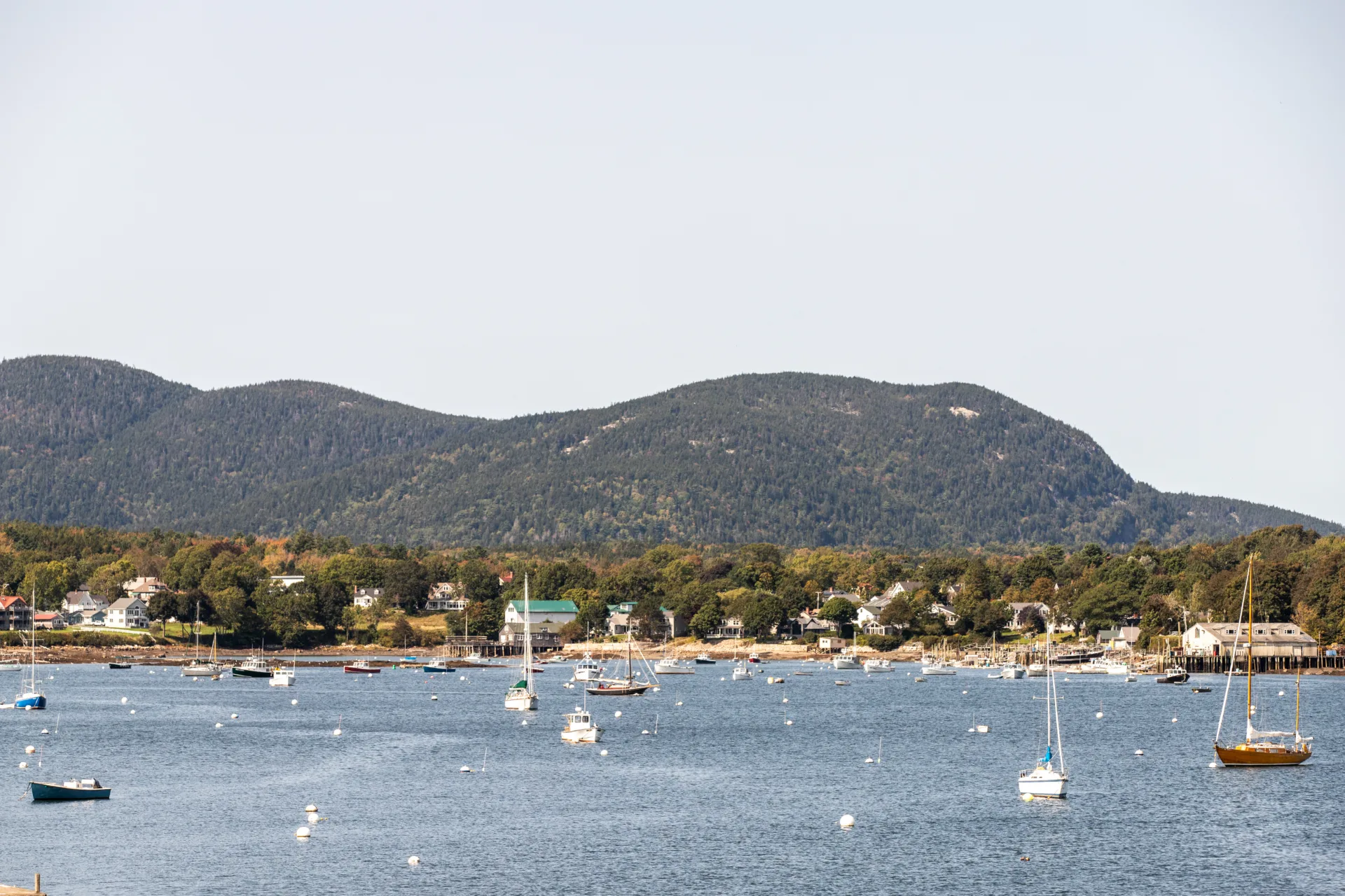 Boats on moorings in Northeast Harbor with Acadia mountains beyond